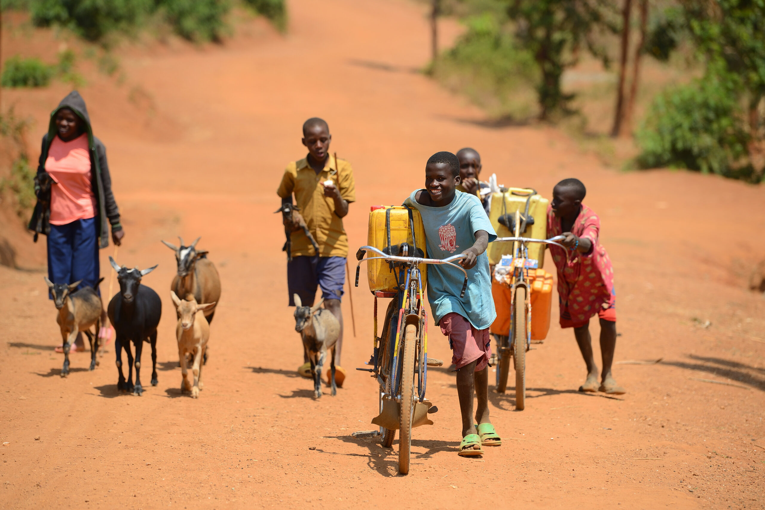 Bestandsaufnahme in Ngenda