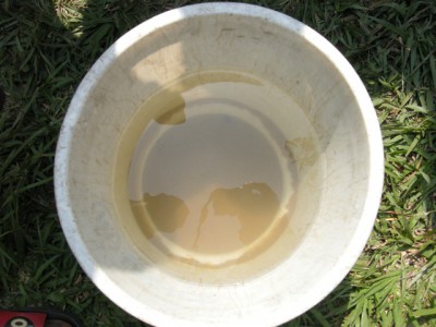 Saubers Wasser; der Eimer ist nicht mehr ganz voll.